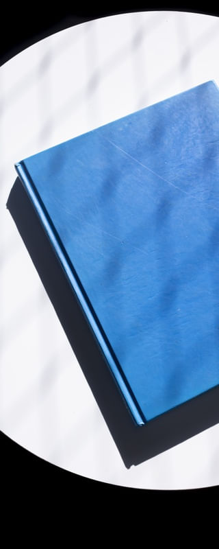 BLUE BOOK 2