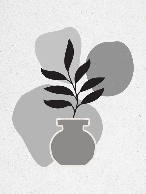 PLANTA MINIMALISTA P&B I