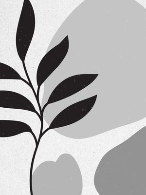 PLANTA MINIMALISTA P&B II