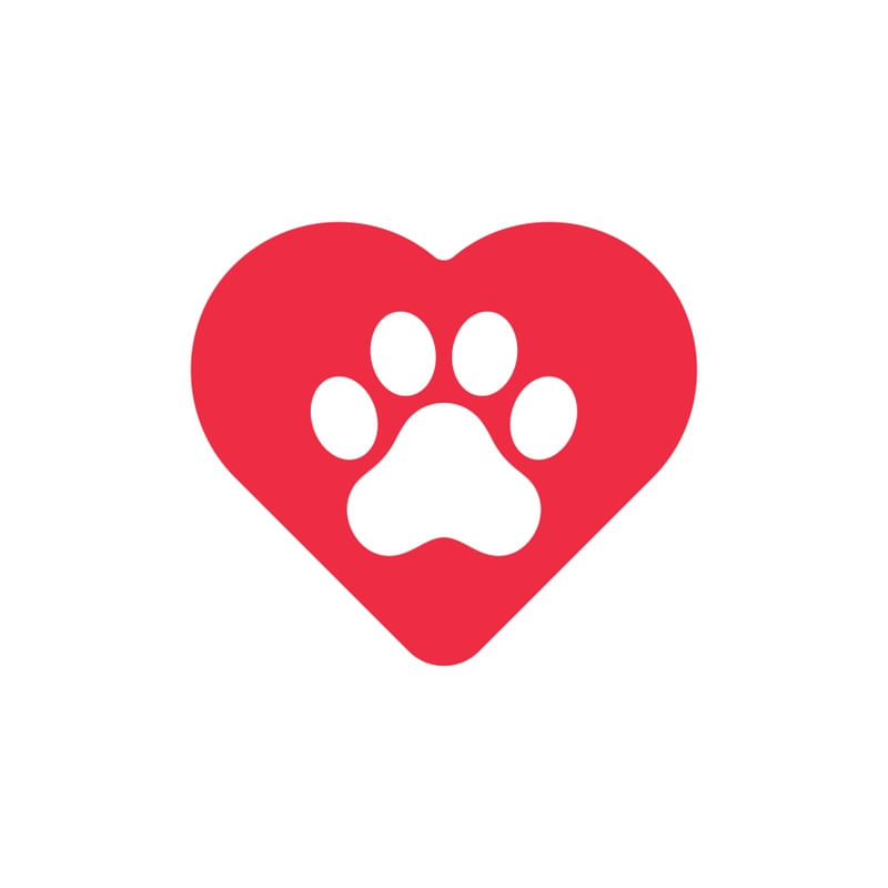 LOVE PET DOG AND CAT