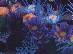 NATUREZA ULTRAVIOLETA I