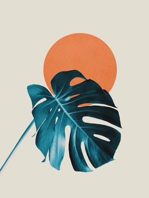 FLORAL AT SUNSET 01