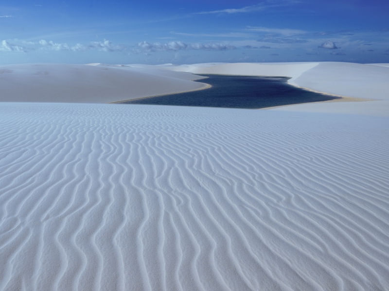 OÁSIS NA AREIA