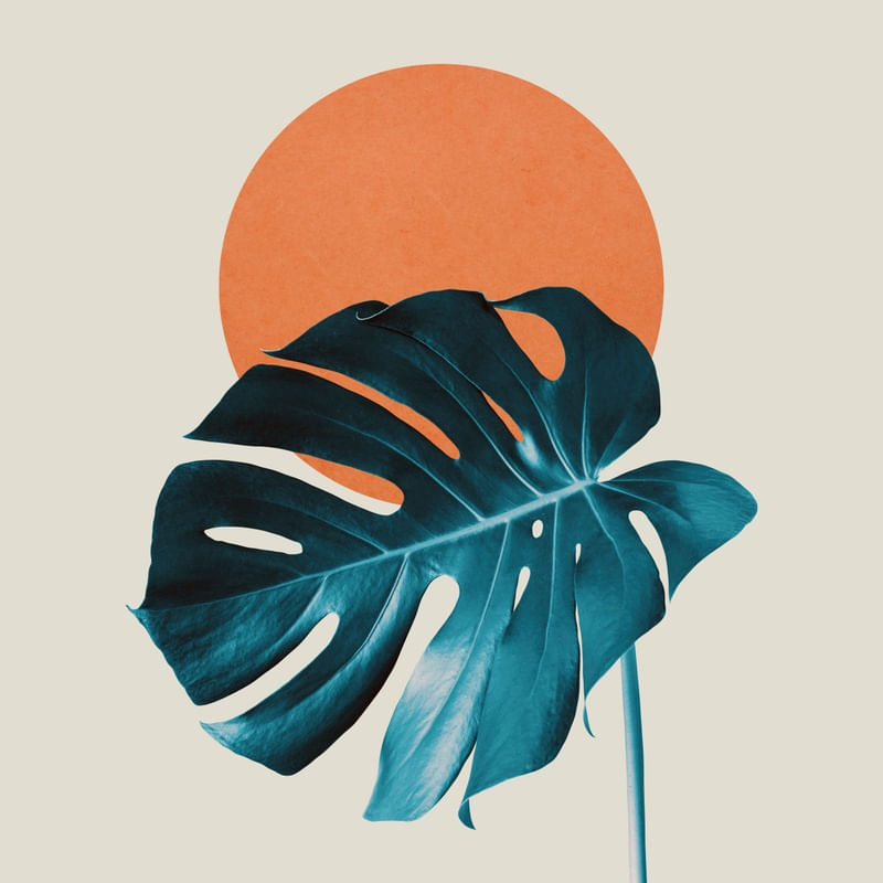 FLORAL AT SUNSET 07