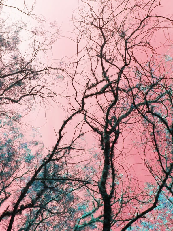 MYSTICAL AESTHETIC