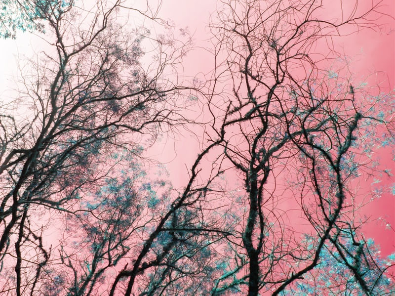 MYSTICAL AESTHETIC 2
