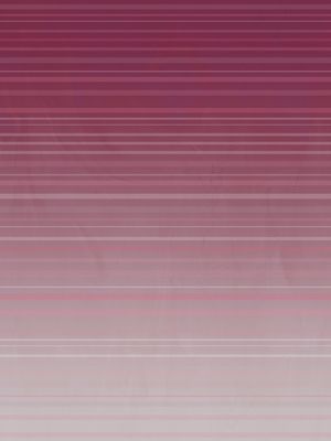 BLUR RISC 1
