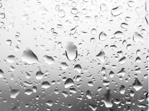 GRAY DAYS 2