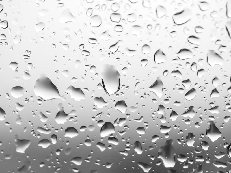 GRAY DAYS 2