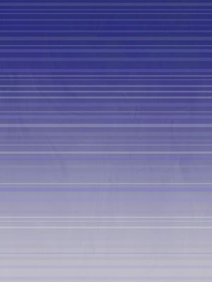 BLUR RISC 2