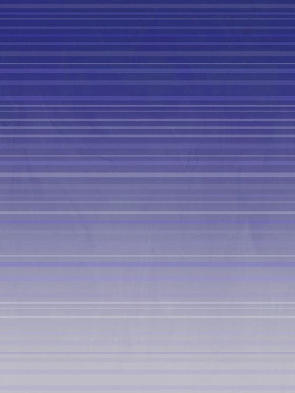 BLUR RISC 2