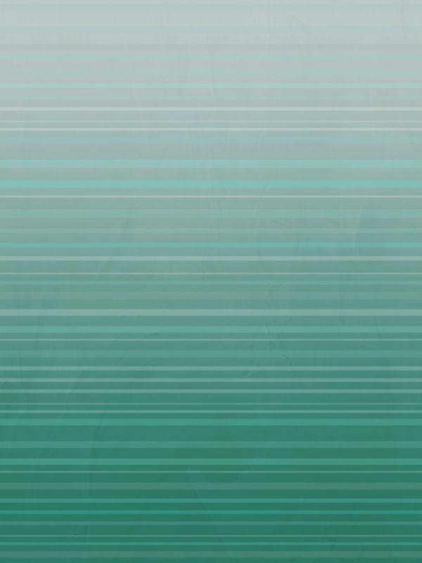 BLUR RISC 4