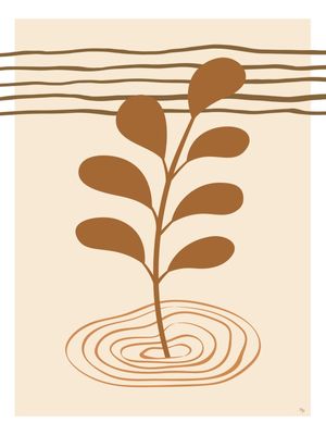 PLANTA BEGE III