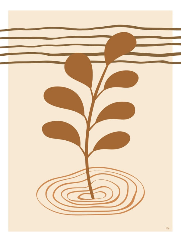 PLANTA BEGE III