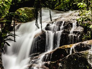 STONE VEIL