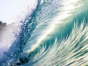 PERFECT SHAPE OF WATER