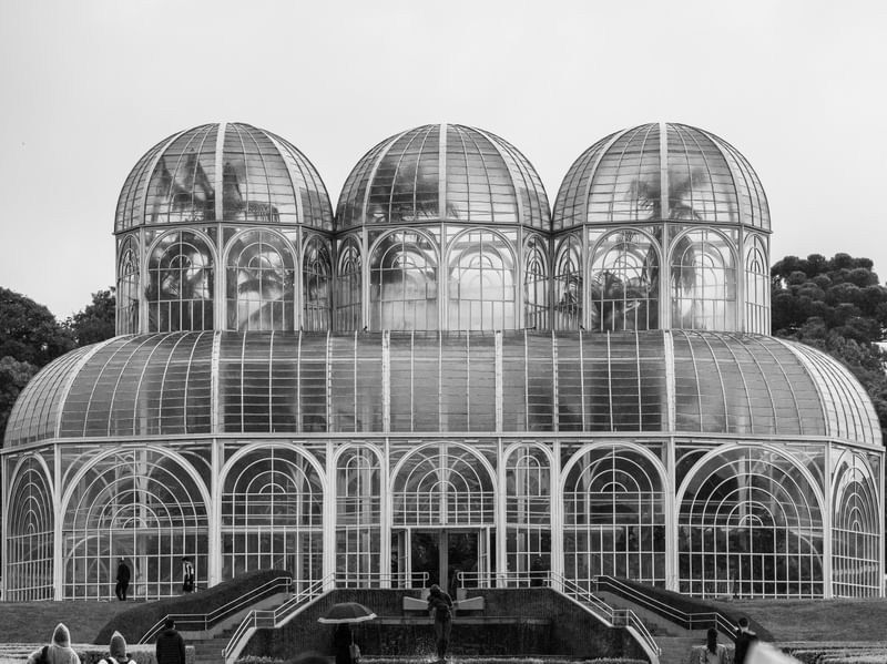 JARDIM BOTÂNICO EM PRETO E BRANCO