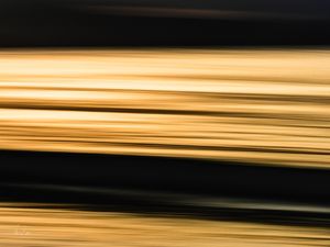 GOLDEN TEXTURE 11