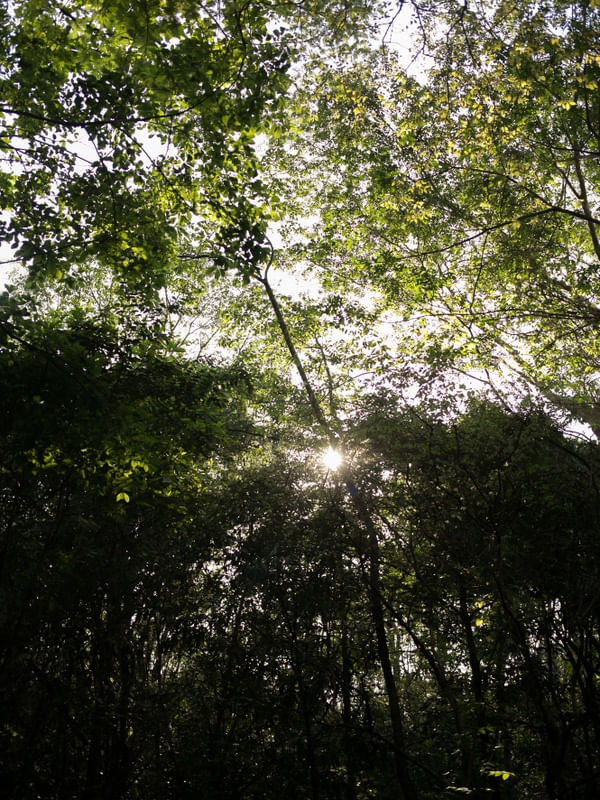 A ÚLTIMA MANHÃ