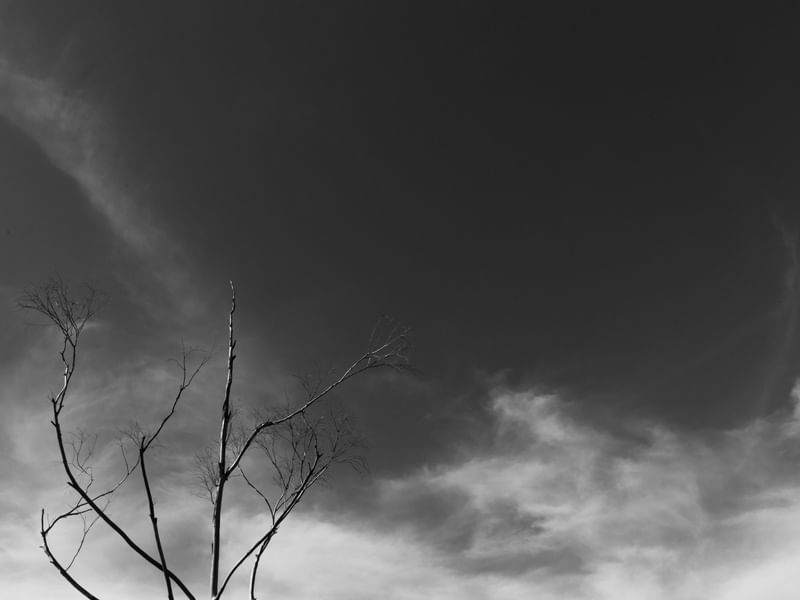 CÉU DE AGARRA
