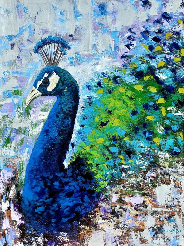 PAVÃO VAIDOSO LX