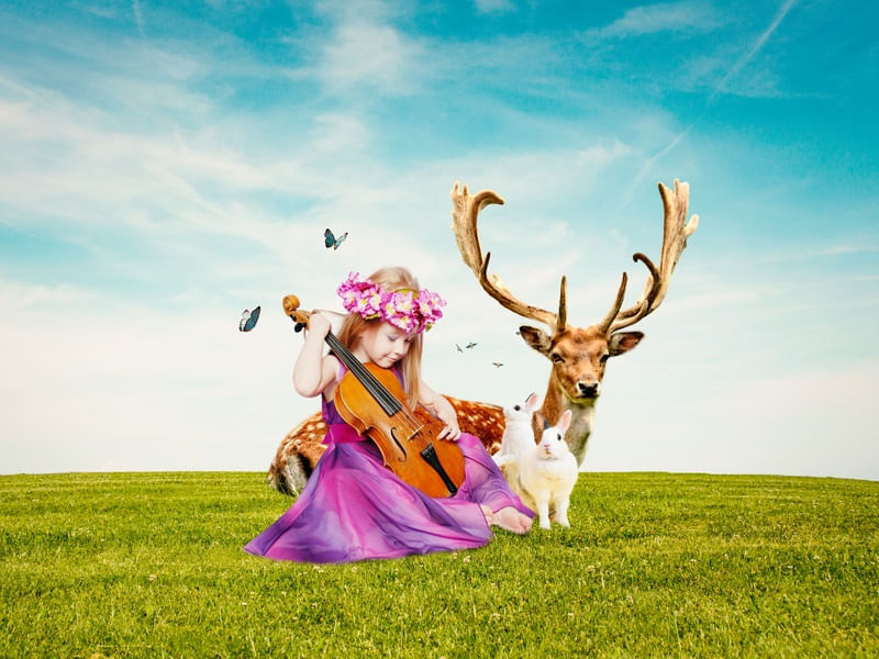 A MENINA O VIOLINO E OS ANIMAIS