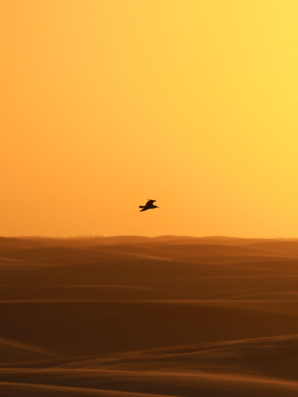 VOO AO ENTARDECER