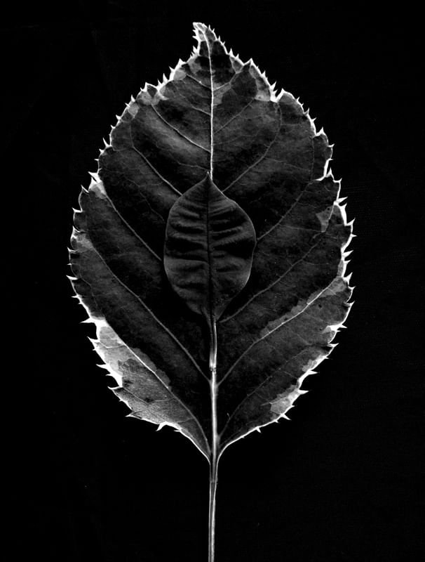 SHEETS IN BLACK AND WHITE
