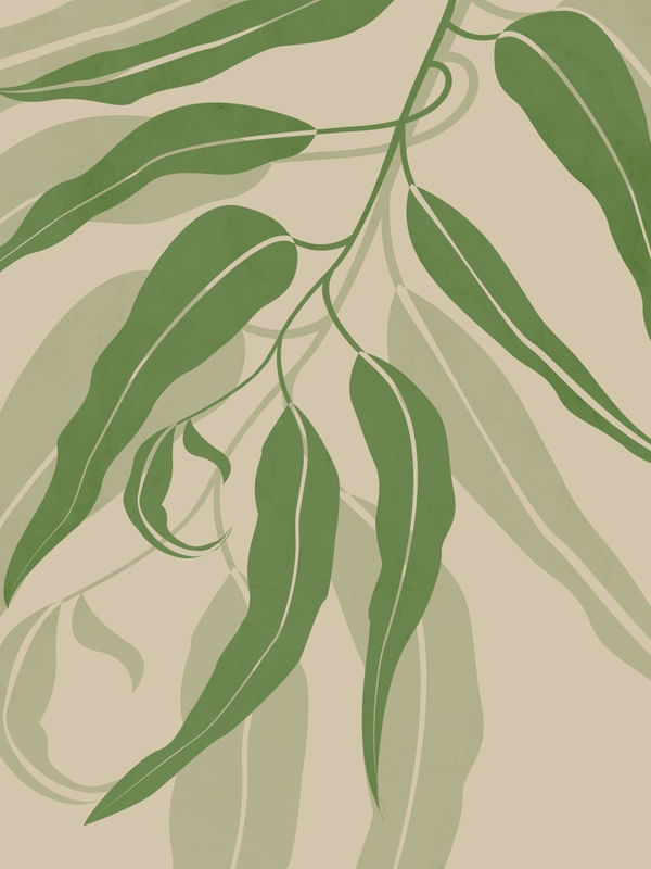 NATURE ART 1