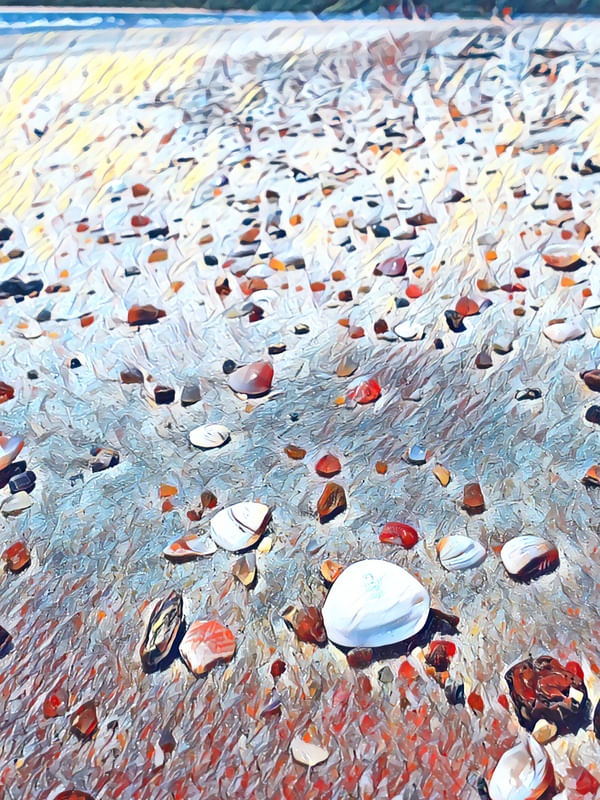 CONCHAS NA AREIA PRAIA II