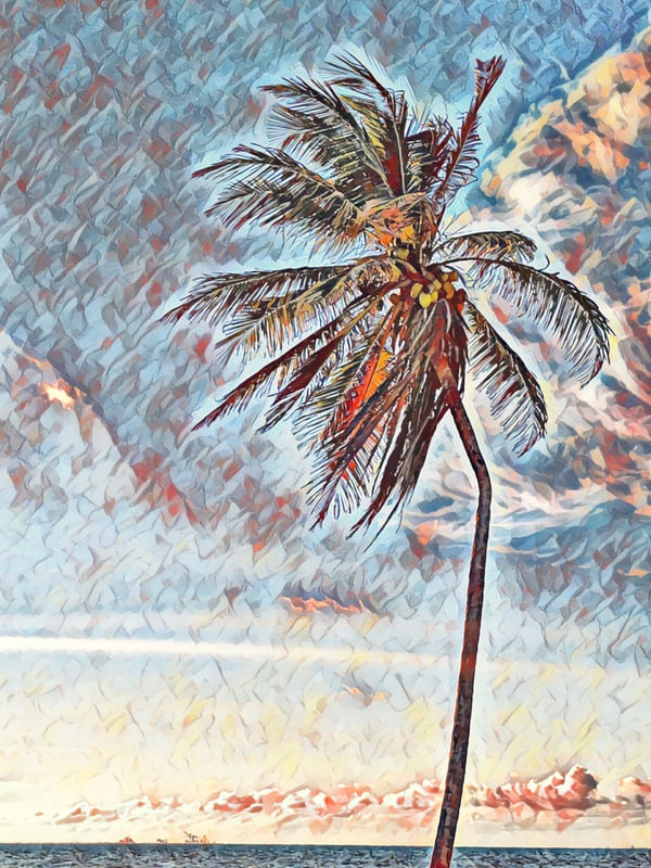 COQUEIRO NO CUMBUCO II