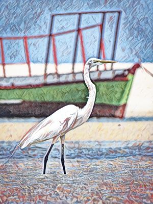 GARÇA EM BARRA NOVA II