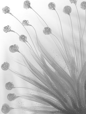 CINZA FLORAL