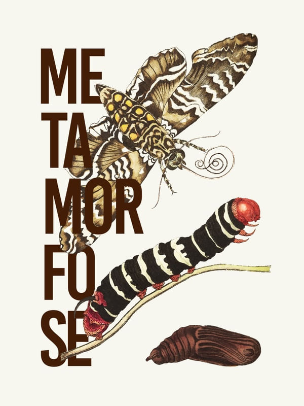 ME TA MOR FO SE