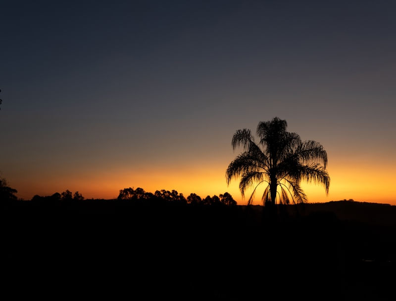 TARDEZINHA
