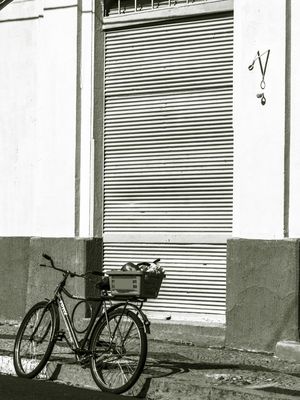 BICICLETA FORTE #1
