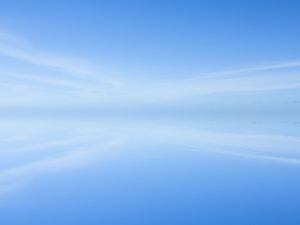 BLUE MANIFEST 6