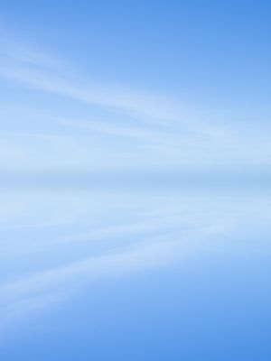 BLUE MANIFEST 7 - DÍPTICO 1