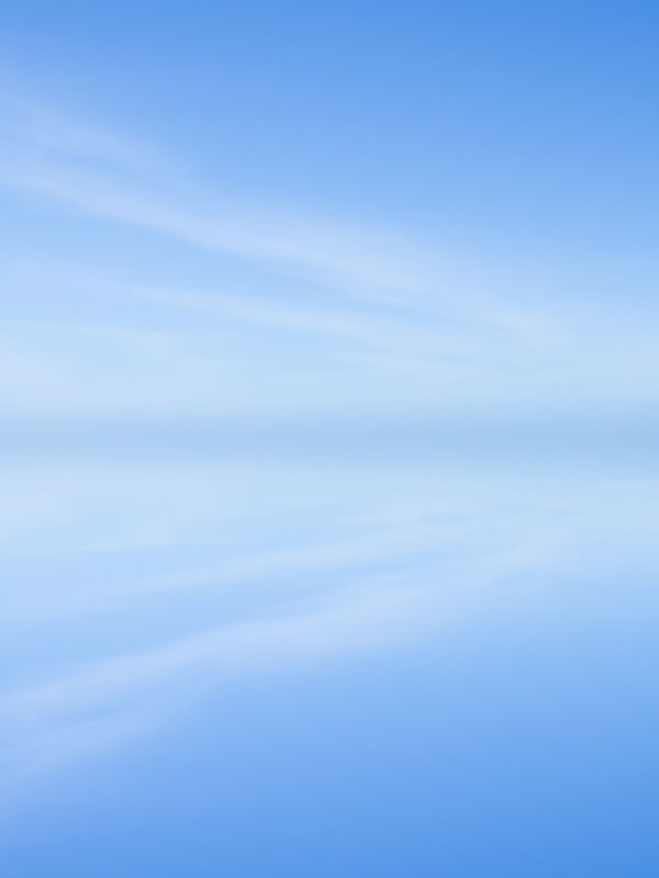 BLUE MANIFEST 7 - DÍPTICO 1
