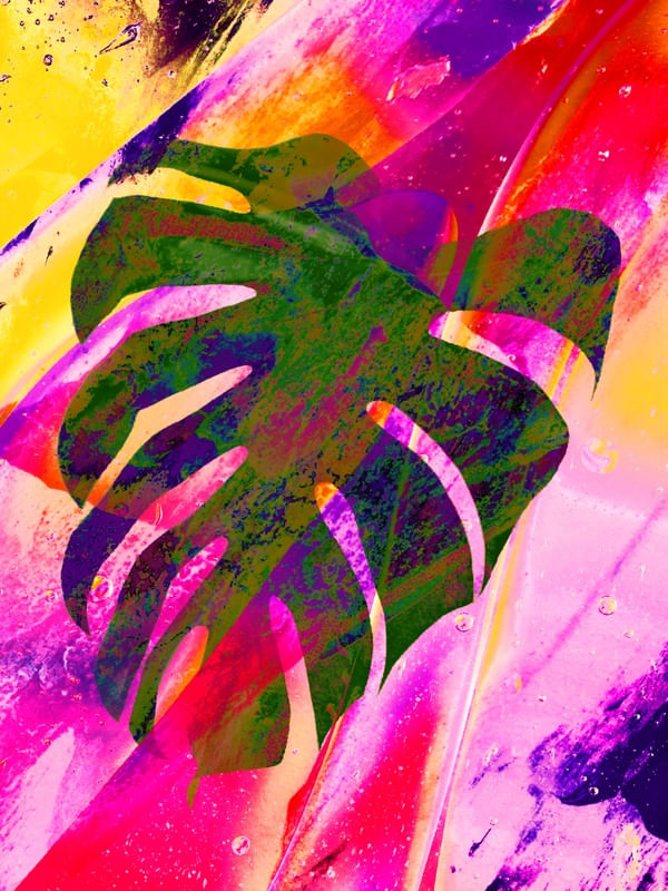 COLOR LEAF