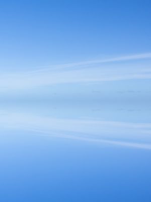 BLUE MANIFEST 8 - DÍPTICO 2