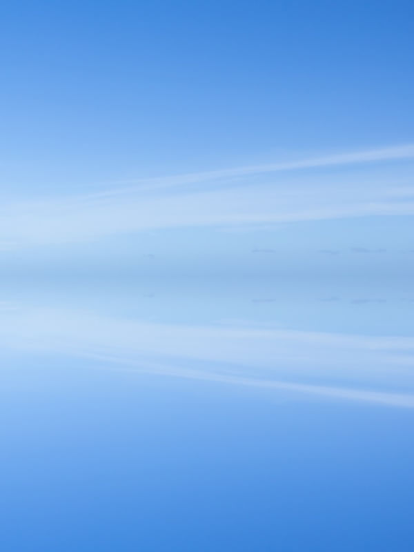 BLUE MANIFEST 8 - DÍPTICO 2