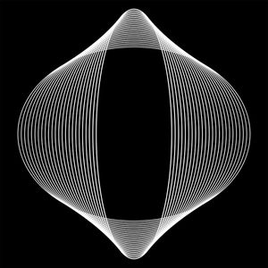 QUADRO DECORATIVO QUADRADO PRETO E BRANCO - GEOMETRICO FRACTAL - 17A2-Q