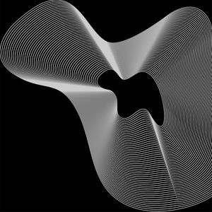 QUADRO DECORATIVO QUADRADO PRETO E BRANCO - GEOMETRICO FRACTAL - 19A2-Q
