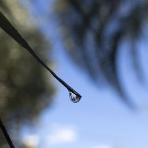 MACRO WORLD 1