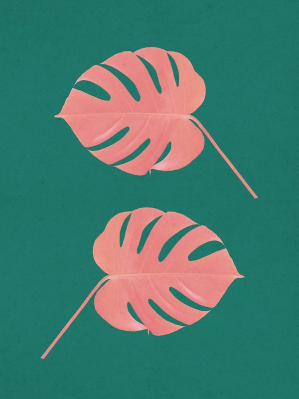 FOLHA TROPICAL AQUARELA 04