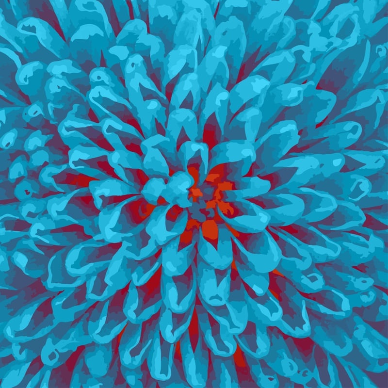 FLOR INCOMUM 01
