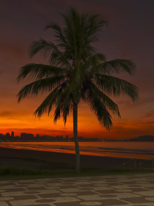 AMANHECER NA PRAIA COM COQUEIRO