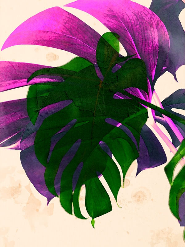 NATUCOLOR