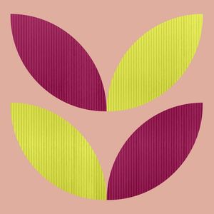 SHAPE 7